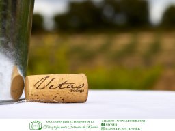 Festival Mar de Tethys 2026 - Bodega Vetas